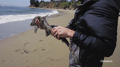 fish fishing GIF by Outside TV