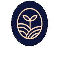 Addon Code Sticker by Code