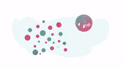 Transformation Nachhaltigkeit GIF by Wuppertal Institut