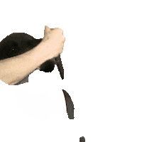 makeplug cachorro malu patinha de cachorro carinho cachorro Sticker