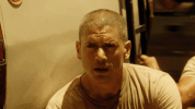 looking michael scofield GIF by Prison Break