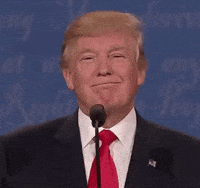 Political gif. A smug Donald Trump stands in front of a microphone, lifting his chin and nodding slightly.