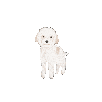 Golden Retriever Sticker Sticker