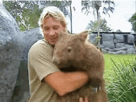 steve irwin australia GIF