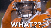National Football League What GIF by NFL