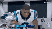Carolina Panthers Football GIF by NFL