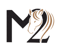 mariamigliore horse horses napoli naples Sticker