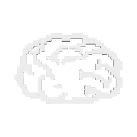 Brain Learning Sticker by COIN