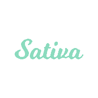 ClinicaVerde weed sativa clinica verde vive verde Sticker