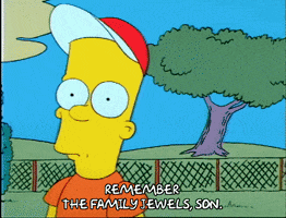 Season 1 GIF by The Simpsons