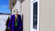 GIF by Webs & Tiaras