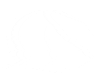 Text Bubble Sticker by Onaque