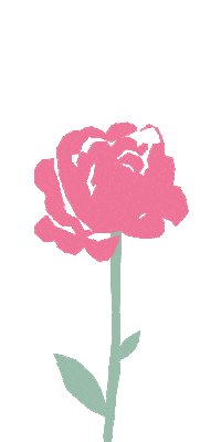 compagniedeprovence flower flowers grow provence Sticker