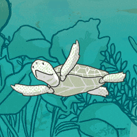 Tostoini green ocean sea swim GIF