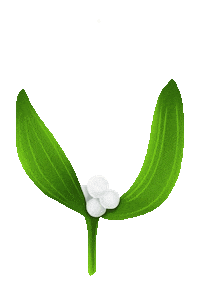 natalikit snow winter plant floral Sticker