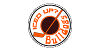iced-up hockey nhl cap del Sticker