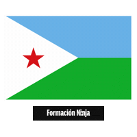 Djibouti Flag Dj Sticker by Formación Ninja