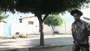 AprendacomEdu youtube brasil youtuber brazil GIF
