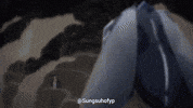 Solo Leveling Sung GIF