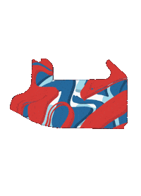 Racing F1 Sticker