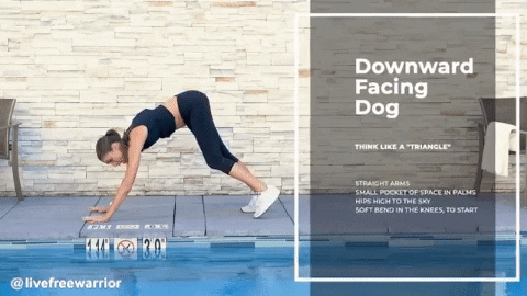 livefreewarrior giphygifmaker yoga downward dog yoga basics GIF
