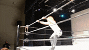 SHWAWrestling perth pro wrestling southern hemisphere wrestling alliance shwa shwa gif GIF