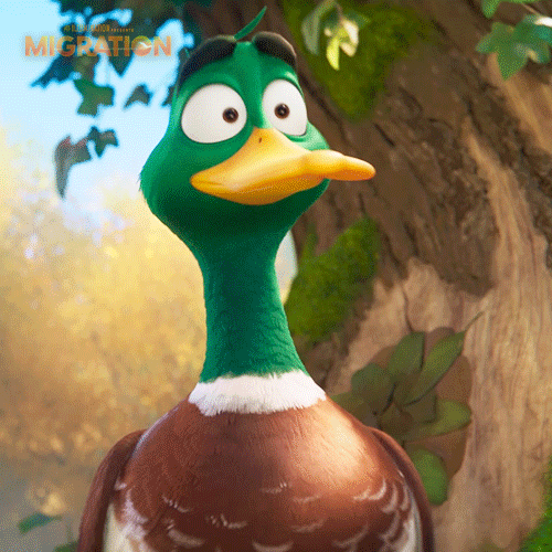 MigrationMovie giphyupload shocked duck marriage GIF