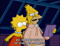 lisa simpson GIF
