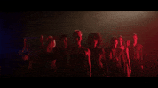all that jazz raise hand GIF by Chicago The Musical