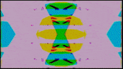 Video Art GIF by cskonopka