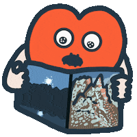 Photo Read Sticker by Lipchan