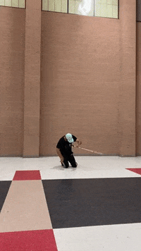 thatguywhospins Sabre colorguard thatguywhospins GIF
