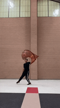 thatguywhospins flag spinning colorguard thatguywhospins GIF