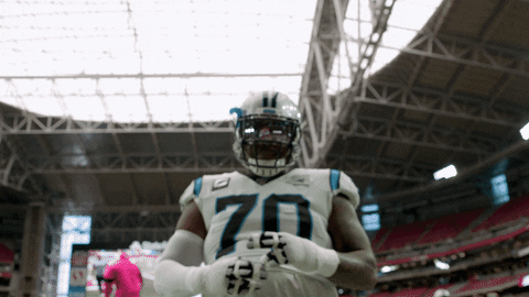Nfl GIF by Carolina Panthers