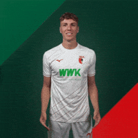 Celebration Goal GIF by FC Augsburg 1907