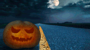 GIF by Central Valley Honda Dealers