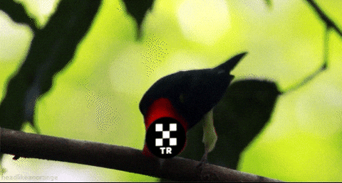 GIF by OKX TR