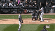major league baseball sport GIF by MLB