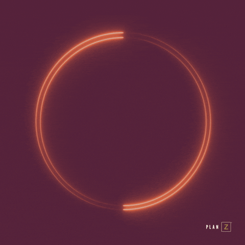 PZJen giphyupload planzdiet GIF