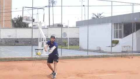 fernandoron giphygifmaker GIF