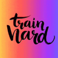 STARDUST_SHOW train stardust stardustshow GIF