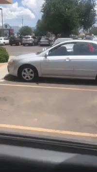 Man Smashes Window to Save Dog Inside Hot Car in Albuquerque