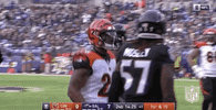 2018 Nfl Football GIF by NFL
