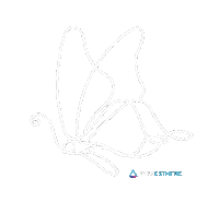 Butterfly Sticker by pyfahealth