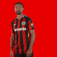 Oh No Facepalm GIF by Bayer 04 Leverkusen