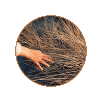 Energi Vesterhavet Sticker by Digitale Damer