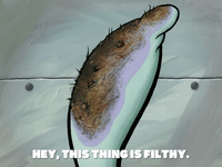 season 7 the curse of bikini bottom GIF by SpongeBob SquarePants