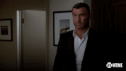 ray donovan GIF by Showtime