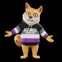 Happy Celebration GIF by Doge Pound