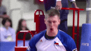 Happy Celebration GIF by Volleyball World